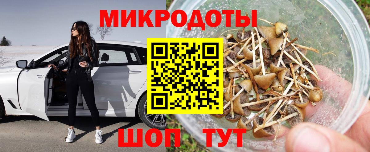 Щёлково  Галлюциногенные грибы Psilocybine cubensis  купить наркоту  Вход с VPN 
